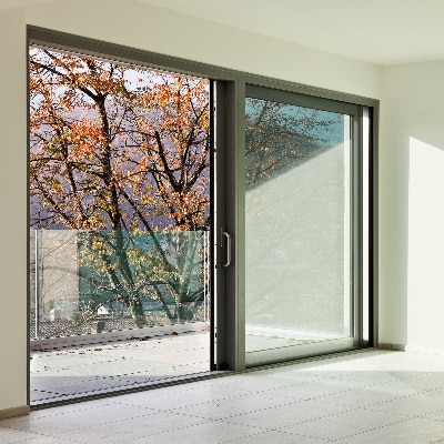 Glass Door Cleaning